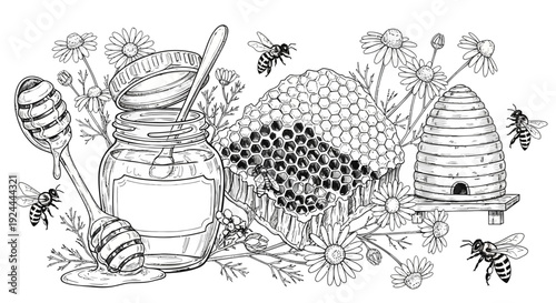 Honey jar with honeycomb bees and flowers illustration in black and white