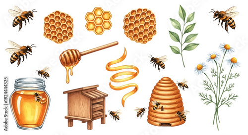 Honey jar with honeycomb hearts daisies and honey dipper illustration