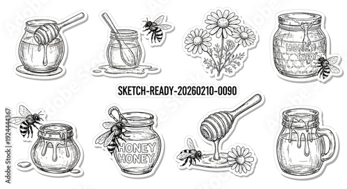 Honey jars and bees illustration set of drawings isolated on white background