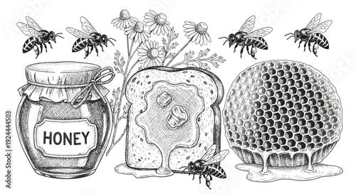 Honey related illustration featuring bees honeycomb bread and flowers