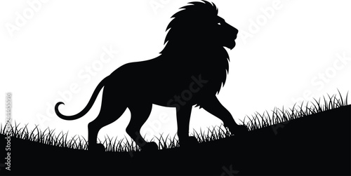 Majestic lion silhouette walking on a grassy hill