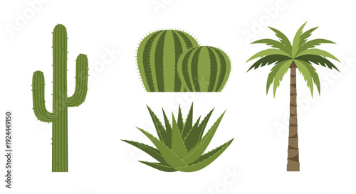 A collection of desert and tropical plants: saguaro cactus, barrel cacti, aloe vera plant, and a palm tree.