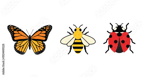 An orange butterfly, a yellow bee, and a red ladybug are shown in a flat design illustration against a plain white background.