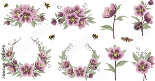 Beautiful set of pink and purple orchid flowers with green leaves and stems isolated on a white background for a natural spring botanical bloom