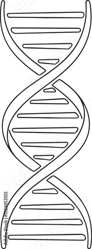 Minimalist line art of a DNA double helix, symbolizing genetics, molecular biology, and life's fundamental code. Ideal for scientific, educational, and health-related design concepts