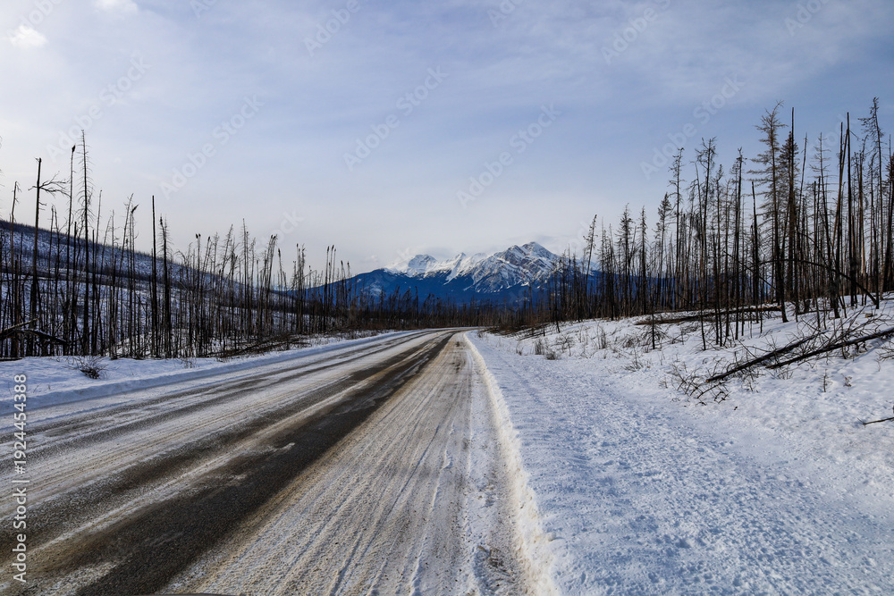 Obraz premium A view from Maligne lake road in February 2026