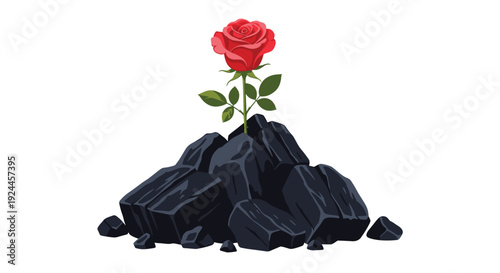 A single vibrant red rose with a green stem and leaves stands upright on a dark, irregularly shaped pile of rough-textured coal chunks against a white background.