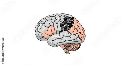 A human brain in side profile features pink, gray, and black sections with white circuit lines on a plain white background.