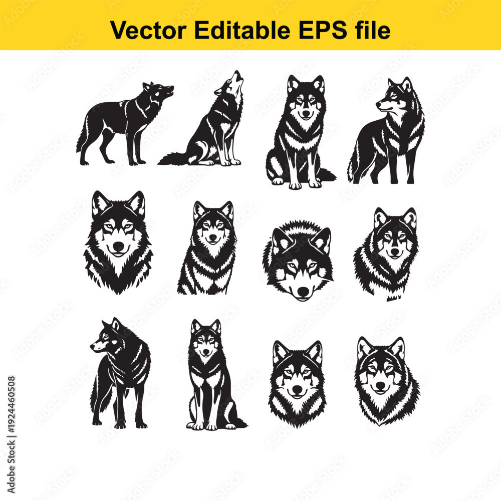Fototapeta premium Husky Dog Vector Illustrations Set on White Background