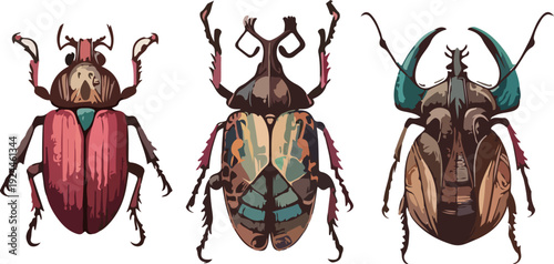 Decorative Beetle Art Set with Highly Detailed Vintage Insect Illustrations and Artistic Symmetry Patterns