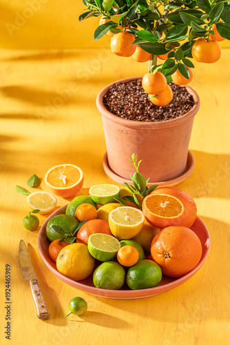 Fresh and juicy with orange...