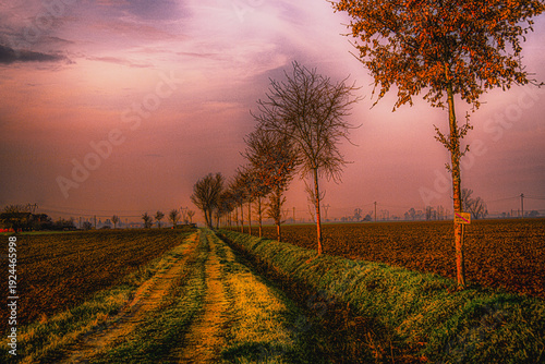 Paesaggio di campagna verso il tramonto, Alessandria, Bosco Marengo, Piemonte, italia
