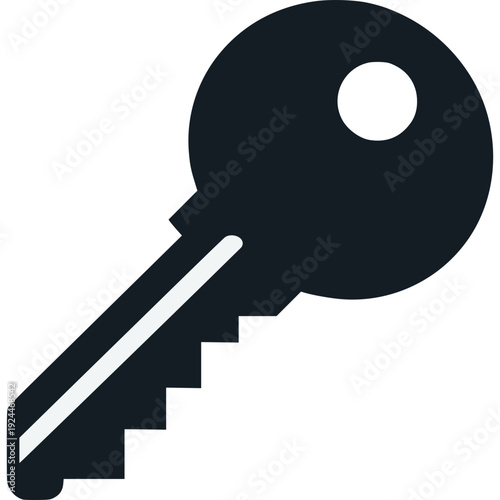 Key Cartoon Icon Vector