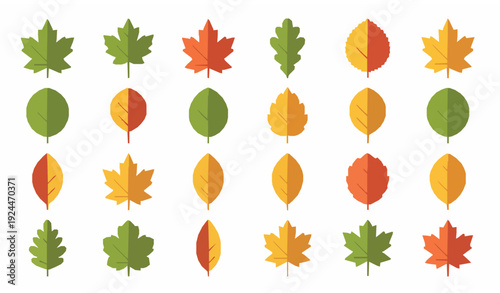 Autumn Leaves Vector Set with Green Yellow and Red Foliage Icons Isolated on White Background