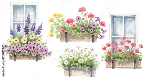 Watercolor illustration of charming window boxes overflowing with vibrant spring and summer flowers