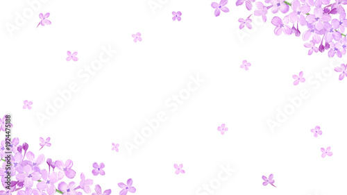 水彩で描いたライラックのフレーム素材