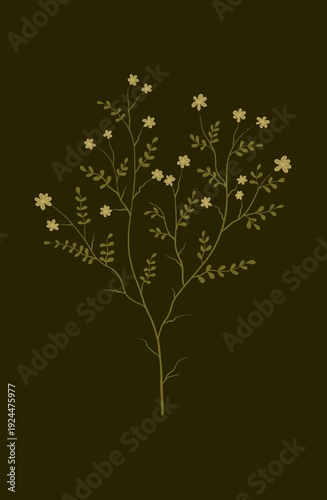 Flowers on a dark background