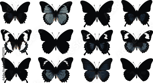 Collection of black butterfly silhouettes and detailed wings isolated on light background, elegant insect vector set for nature design, tattoo and decoration