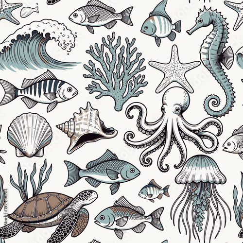 Underwater Life Collection vector