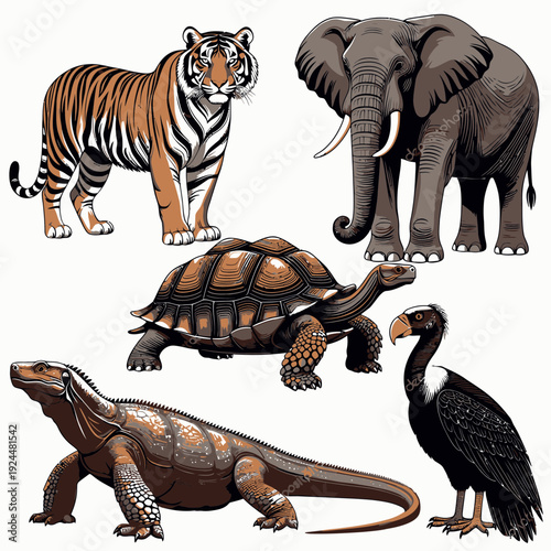 Wildlife Animals Set vector