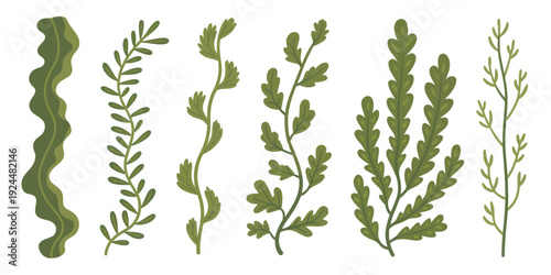 Collection of various green foliage and leafy branches in a digital illustration