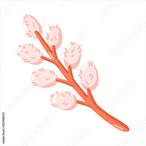 Spring pussy willow branch. Cartoon vector isolated illustration on white background