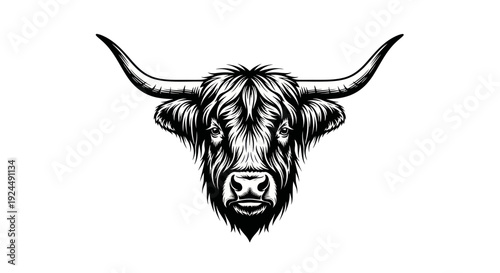 Highland Cow Head Silhouette Vector Illustration, Scottish Cattle Animal