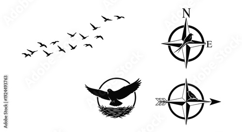 Collection of black bird silhouettes including a flock, a nest with a bird, and compasses with birds