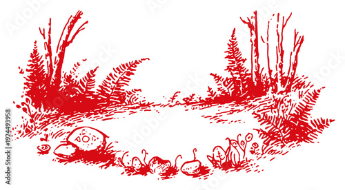 Natural landscape sketch of a forest floor with wild mushrooms and ferns in the woods