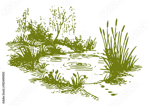 Green ink drawing of a peaceful pond with water ripples and tall reeds