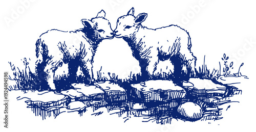 Two cute little lambs standing on rocks in blue vintage ink style