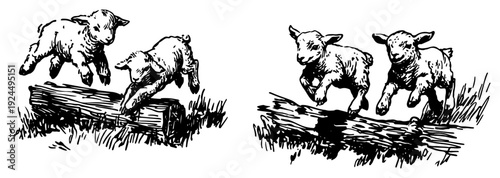 Playful baby lambs jumping over wooden logs in a field hand drawn sketch