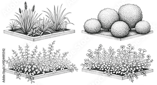 Collection of four black and white stippled illustrations of garden planters with various plants