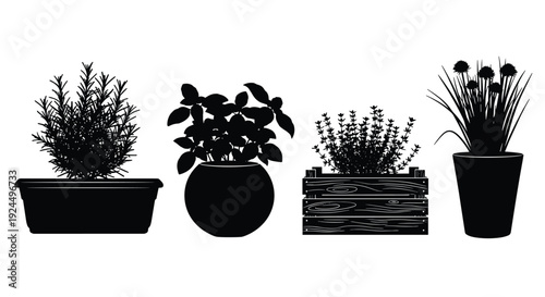 Collection of silhouette potted herbs and plants in various containers on white background
