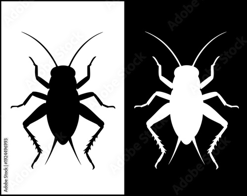 Insect icon, vector illustration of a cricket, with silhouette design, in original and negative versions