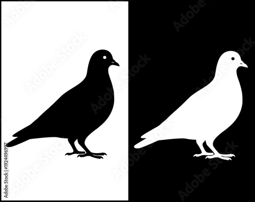 Farm animal icon, vector illustration of a dove, with silhouette design, in original and negative versions