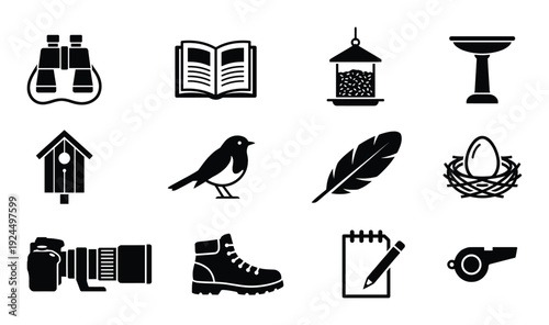 Birdwatching collection for nature observation and discovery of wildlife and ornithology