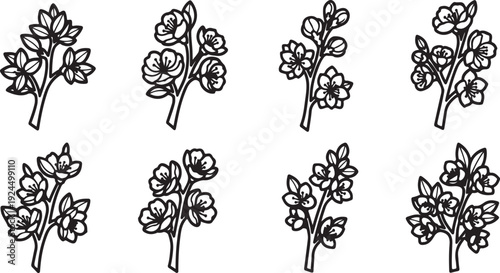 Assorted botanical illustrations showcasing various plant species and their unique characteristics Vector