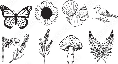 A collection of nature illustrations featuring a butterfly, flower, mushrooms, and more. Vector