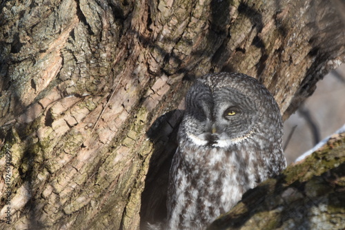 Wallpaper Mural Parc Maritime Nicolet 22 Février 2026  Torontodigital.ca