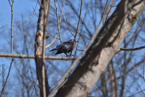 Wallpaper Mural Parc Maritime Nicolet 22 Février 2026  Torontodigital.ca
