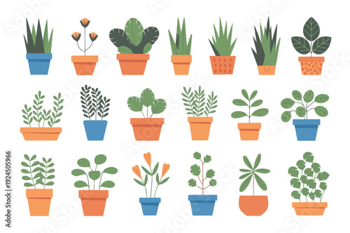Colorful assortment of potted plants and succulents in various decorative pots