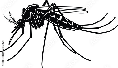 Black and white mosquito vector illustration, realistic insect drawing isolated on white background, pest control and malaria awareness graphic icon.
