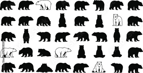 Bear silhouettes collection set, grizzly and polar bears in various poses, wild animal icons, black vector illustration for wildlife, nature, forest design
