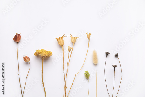 Composition with different ...