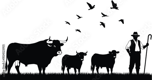 Farmer with staff standing by cattle herd in field silhouette, rural agriculture scene with bull cows and birds in sky,