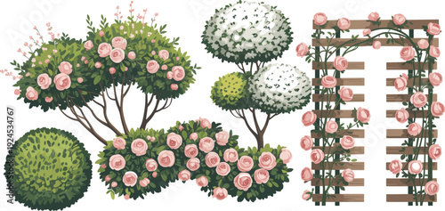 Detailed vector illustration of ornamental garden with rose bushes, flowering topiary trees, leafy shrubs, and trellis archway for landscaping, botanical, and decorative design concepts