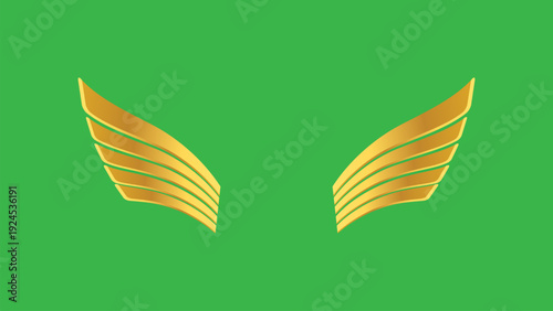 Luxury wing emblem golden wings on green background