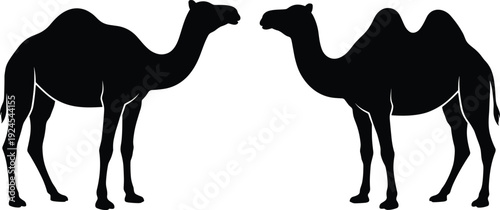 Two camels facing each other in bold black silhouette, desert wildlife illustration symbolizing symmetry, balance, Middle Eastern culture, travel, nature concept isolated on white background