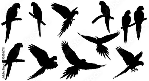 Collection of parrot silhouettes in various flight poses and perched on branches, vector illustration, white background, overhead viewpoint